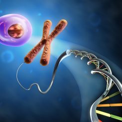 Генетические исследования может сделать каждый, трактовать для пользы пациента — только врач-генетик.