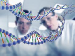 Генетические исследования может сделать каждый, трактовать для пользы пациента — только врач-генетик.